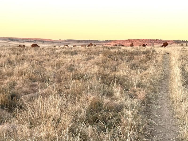 0 Bedroom Property for Sale in Warden Free State
